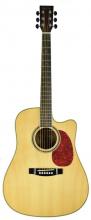 BACH-833GLOSS Dreadnought model solid top 