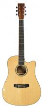 BACH-833GLOSSWIDE Dreadnought model solid top 