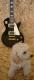 BaCH LP-03 BKTR