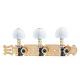 M/H CLASSICAL GOLD