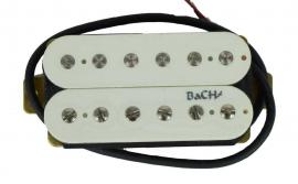 BaCH-102 kobylka