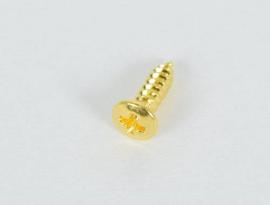 Vrut 2,5X10MM zlatý