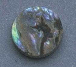 ABALONE DOT 5MM